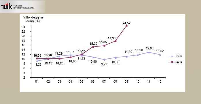 enflasyon-yillik-degisim.jpg?